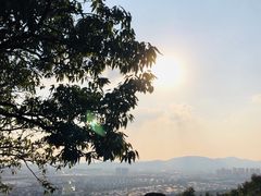 -灵岩山风景区