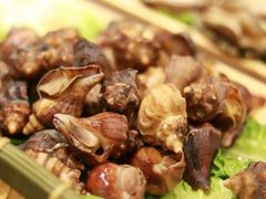 -鲤鱼洲酒店港鲤咖啡厅