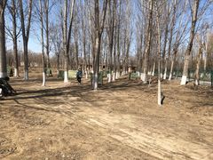 -亲兄弟真人CS团建拓展基地