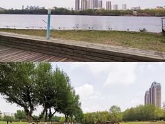 -长白岛森林公园