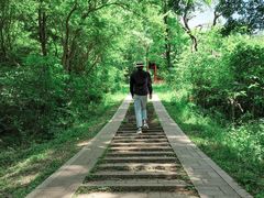 -青龙山国家森林公园