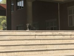 -四川大学(望江校区)