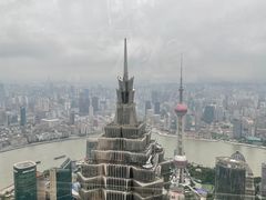 -上海柏悦酒店·世纪100牛排馆