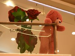 -野人先生Gelato(上海长宁龙之梦店)
