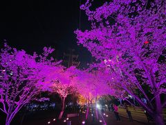 -西北湖绿化广场