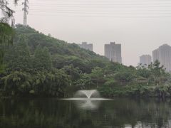-重庆彩云湖湿地公园