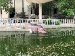 -北京动物园