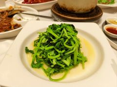 -松鹤楼(狮山永利广场店)