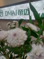 -帝迈造型