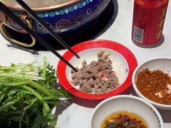 -董记老清泉·鲜切涮羊肉(窑岭店)