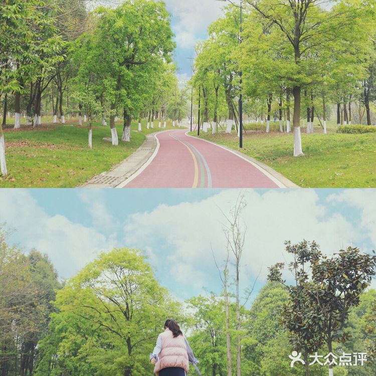 误入成都版森林公园🏠打卡童话小木屋!