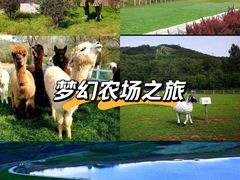 -大连铭湖国际观光牧场