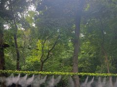-紫金山索道-售票处