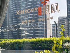 -凤凰湘语(浦东旗舰店)