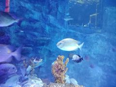 -沈阳海洋探索中心