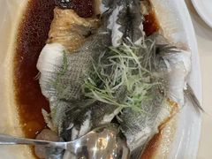 -益利大酒楼(井岸店)
