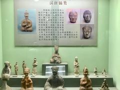 景点-古陶文明博物馆