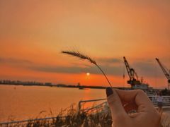 -九江双蒸博物馆