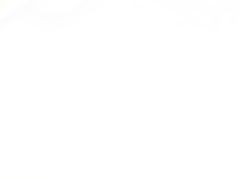 -馨越楼·点心·粤菜(赤坎店)