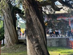 -黄帝陵