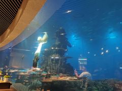 -海棠湾洲际-涛·海底餐厅·美人鱼·自助餐·海底隧道