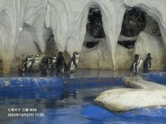 -太平洋海底世界