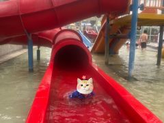 -融汇温泉