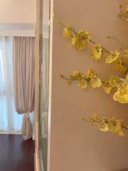 -哈颜科技轻美·