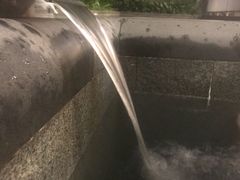 -候鸟水榕庄度假酒店