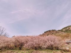 -崂山九水游览区
