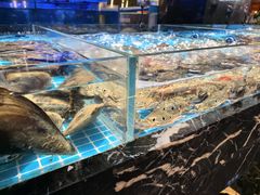 -山海•蒸汽活海鲜自助(皇庭广场店)