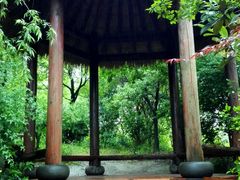 -新江湾城公园