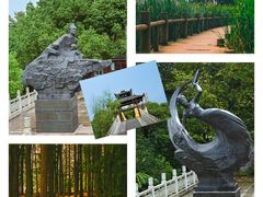 -东湖落雁景区