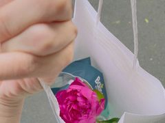 -伊斯坦布尔土耳其清真咖啡餐厅