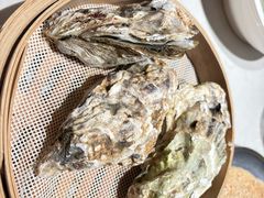 -杨氏青龙虾·羊蝎子(托乐嘉店)