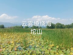 -野鸭湖国家湿地公园