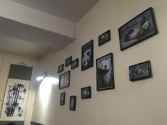 -熊猫川菜馆 panda chine