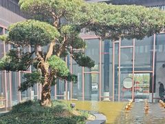 -上海崇明金茂凯悦酒店