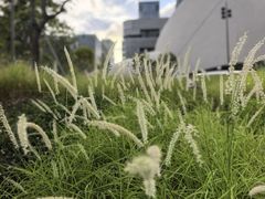 -深圳湾万象城