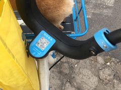 羊肉串-苏氏牛肉面(丰北桥店)