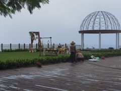-亚龙湾热带天堂森林公园