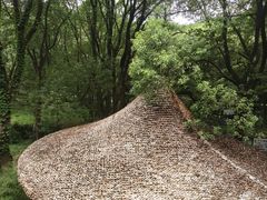 -WeLope紫金山探险公园