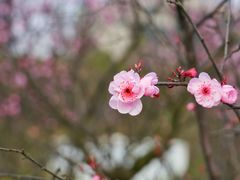 -艾溪湖湿地公园