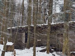 -武陵山森林公园