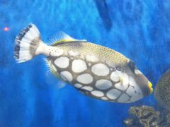 -福州罗源湾海洋世界旅游区