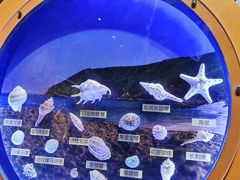 -海合安青岛极地海洋公园