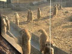 -武汉动物园