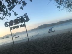 -珊瑚岛