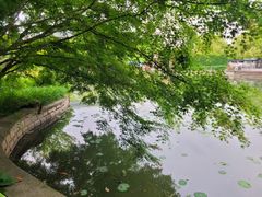 -嘉定紫藤园