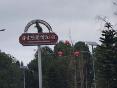 -自贡恐龙博物馆